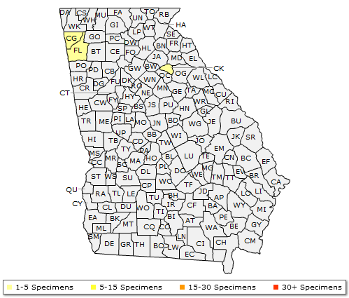The range of Crataegus aemula